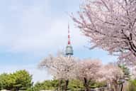 N Seoul Tower