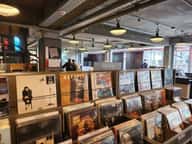 Vinyl & Plastic