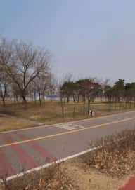 Yeouido Hangang Park